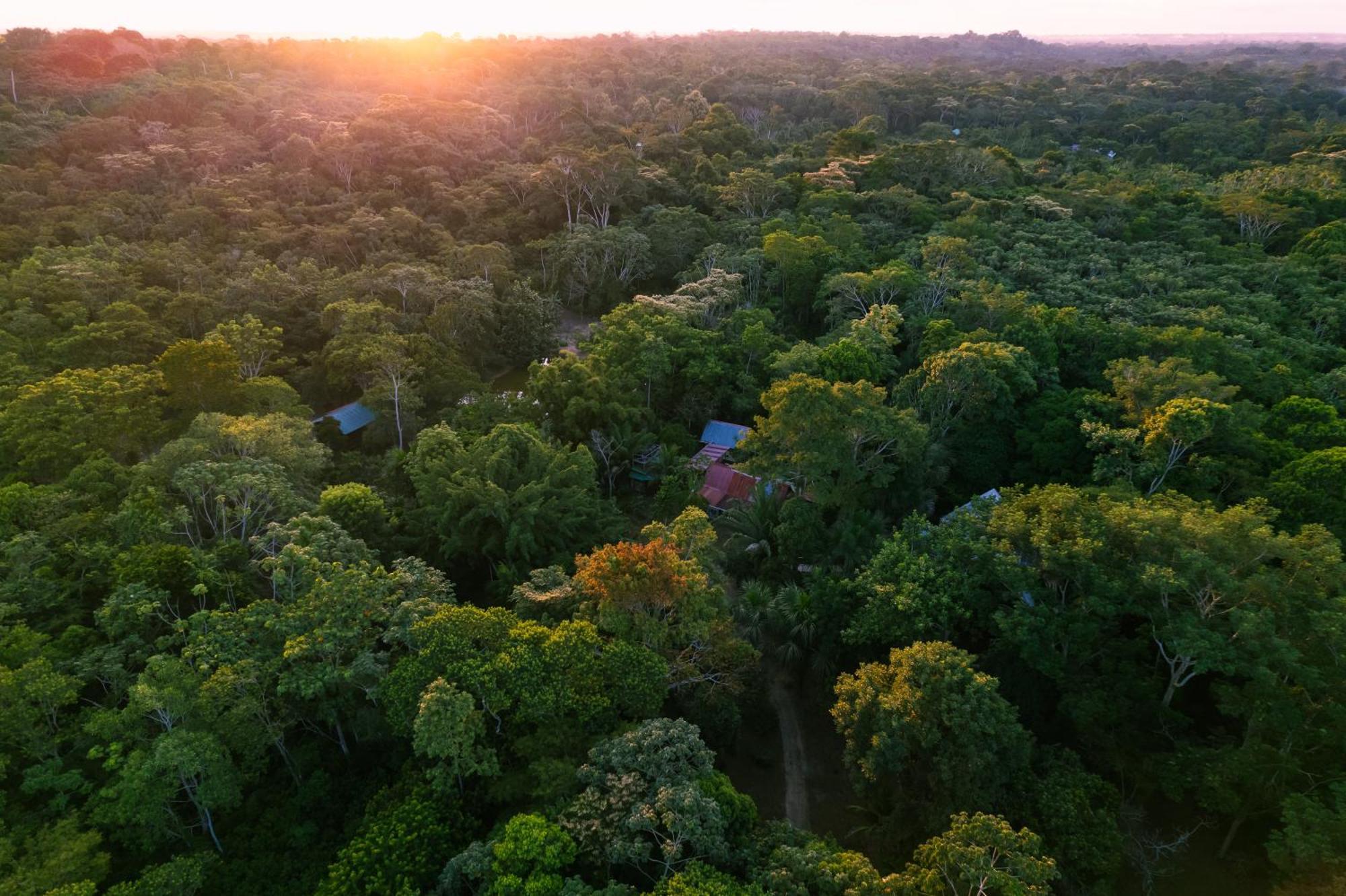 Passiflora Lodge Tambopata Puerto Maldonado Eksteriør bilde