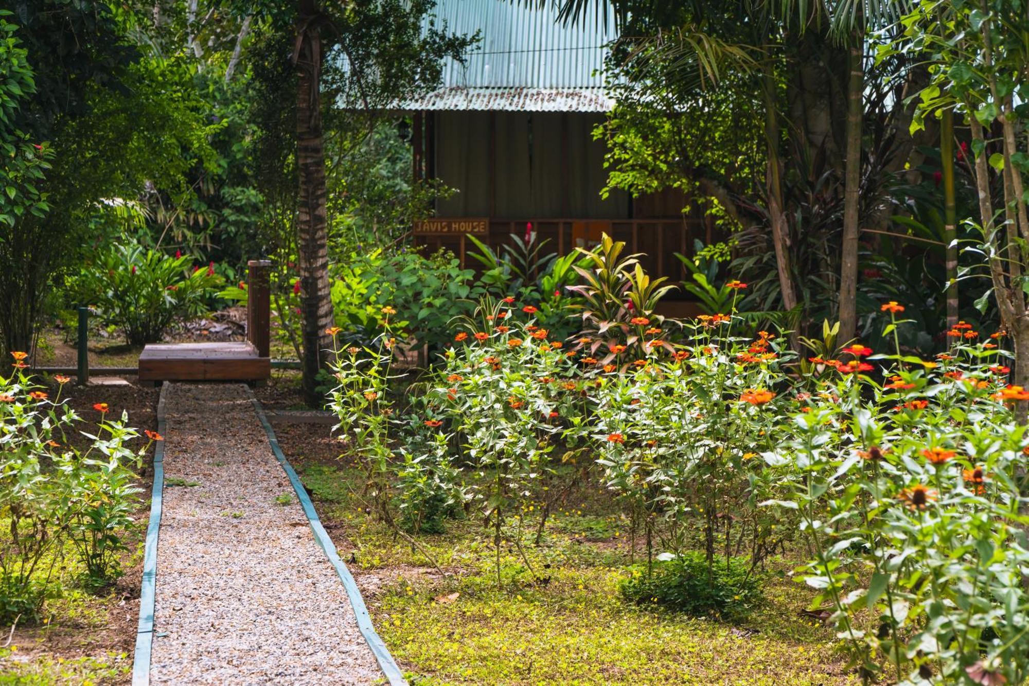 Passiflora Lodge Tambopata Puerto Maldonado Eksteriør bilde