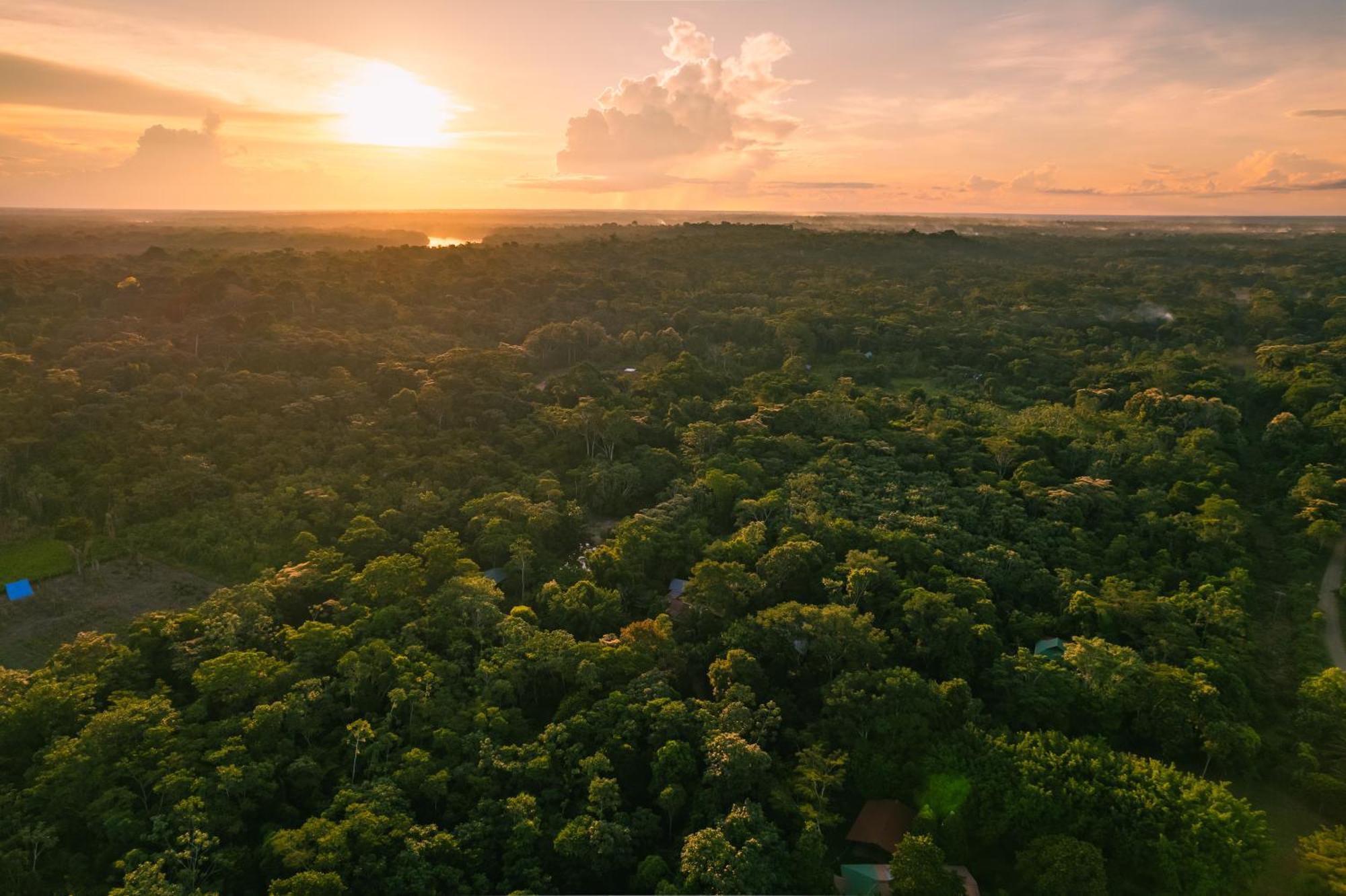 Passiflora Lodge Tambopata Puerto Maldonado Eksteriør bilde